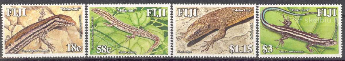 Fidžis 2006-2008. Fauna. - nuotraukos Nr. 3
