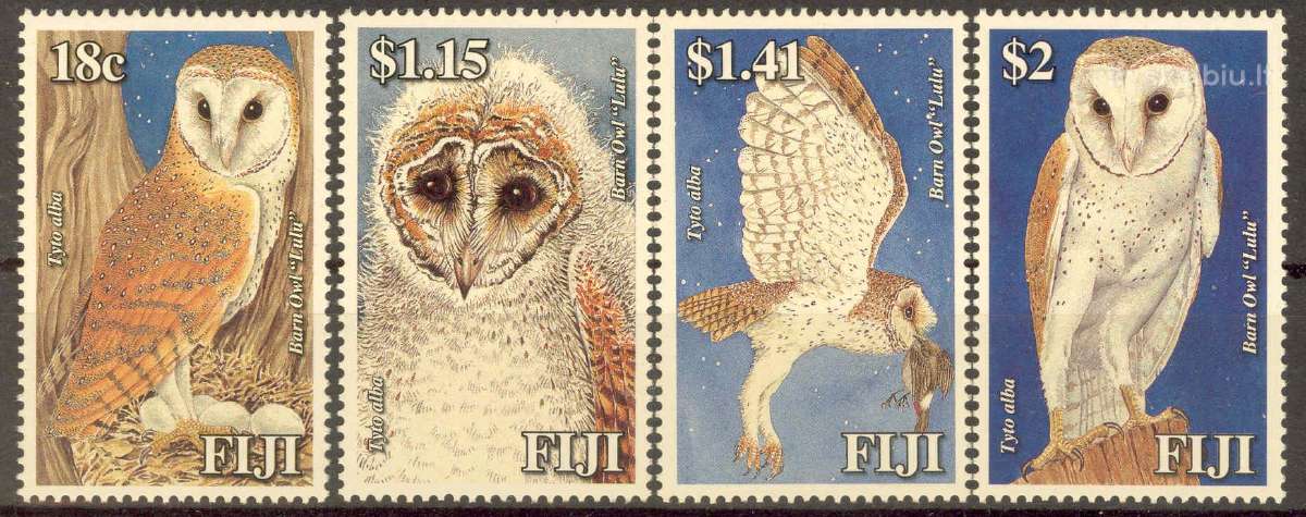 Fidžis 2006-2008. Fauna. - nuotraukos Nr. 4