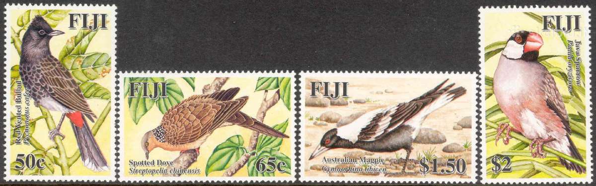Fidžis 2006-2008. Fauna. - nuotraukos Nr. 5