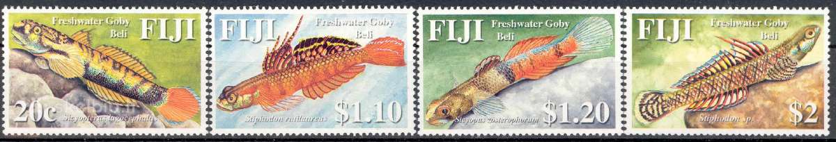 Fidžis 2006-2008. Fauna. - nuotraukos Nr. 7