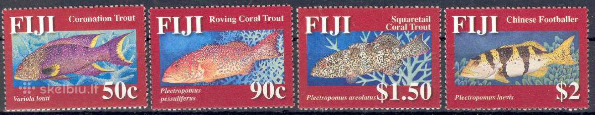 Fidžis 2006-2008. Fauna. - nuotraukos Nr. 8