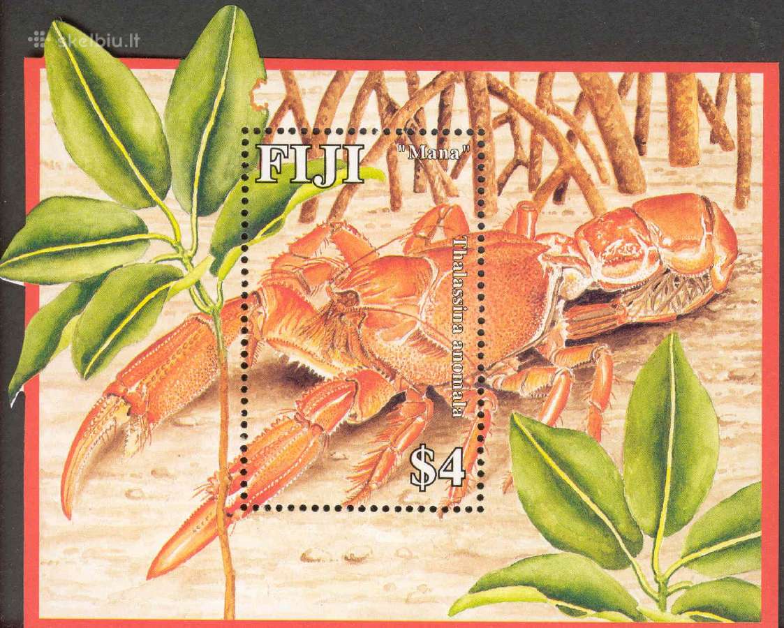 Fidžis 2006-2008. Fauna. - nuotraukos Nr. 12
