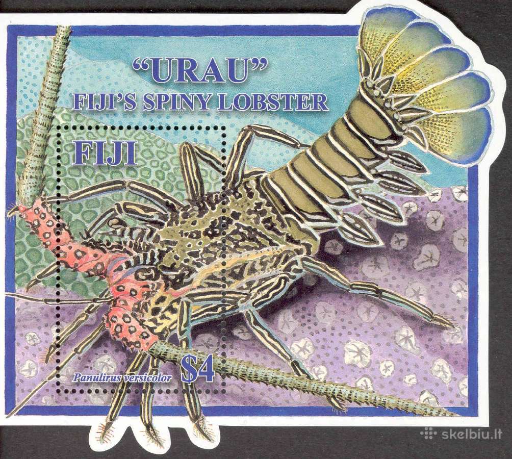 Fidžis 2006-2008. Fauna. - nuotraukos Nr. 13
