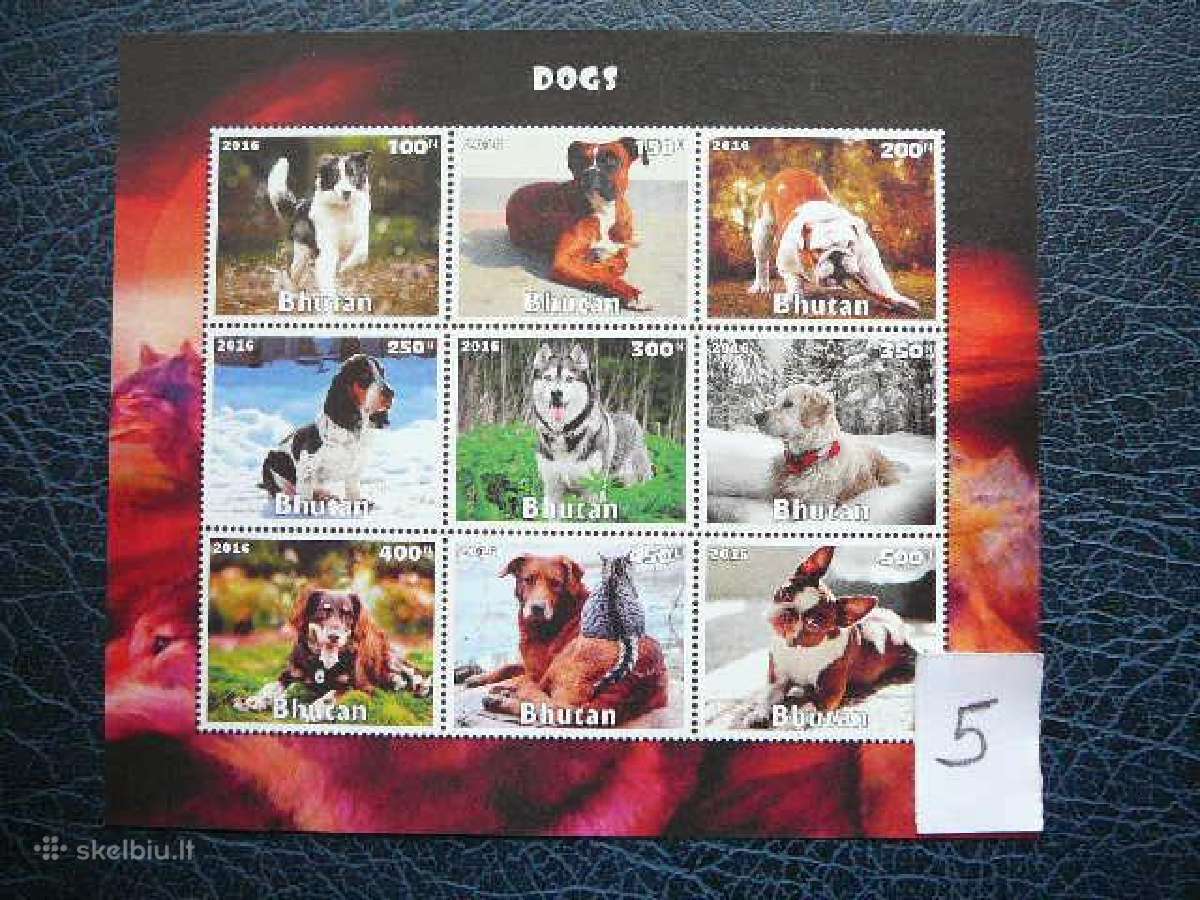 Sunys svarus dgs116(1-9) - nuotraukos Nr. 5