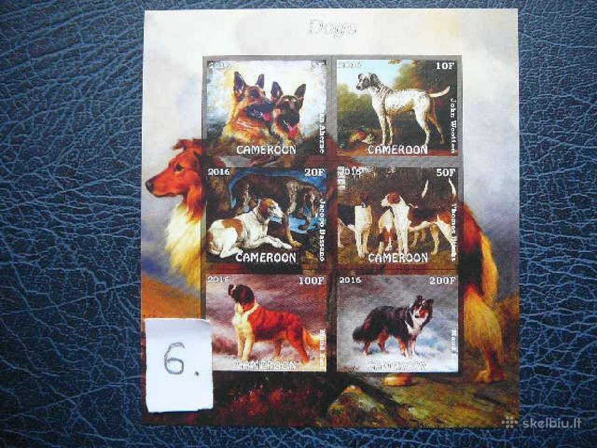 Sunys svarus dgs116(1-9) - nuotraukos Nr. 6