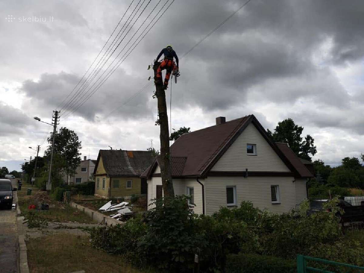 Vejos įrengimas, trinkelių įrengimas, plovimas - nuotraukos Nr. 16