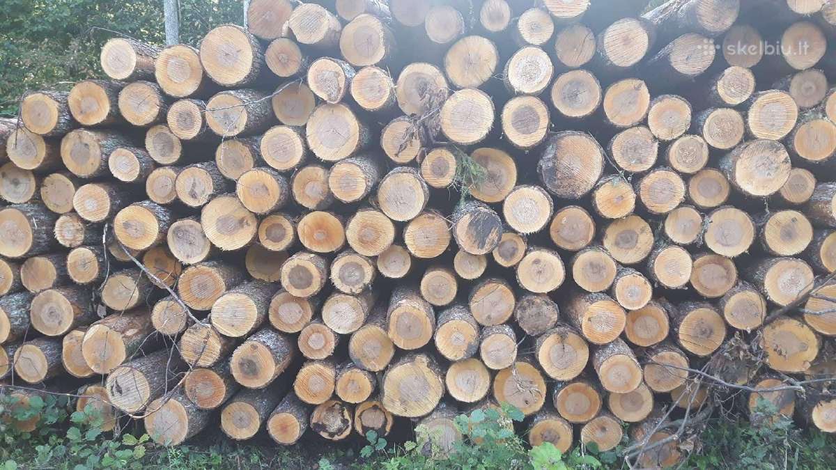 Malkos Jūsų namams Panevėžio apskrityje ir aplink