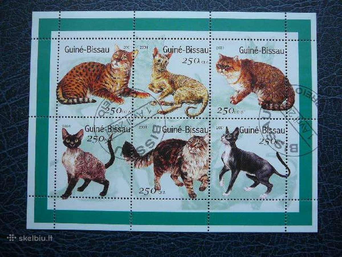 Kates Gv. Bisau antsp. gbs899