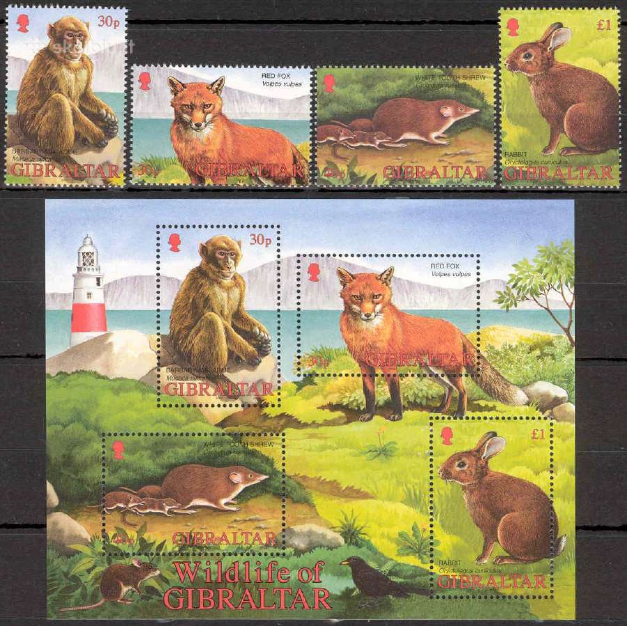 Gibraltaras 2002. Fauna