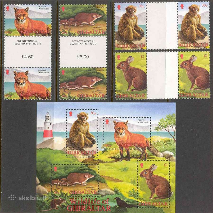 Gibraltaras 2002. Fauna - nuotraukos Nr. 2