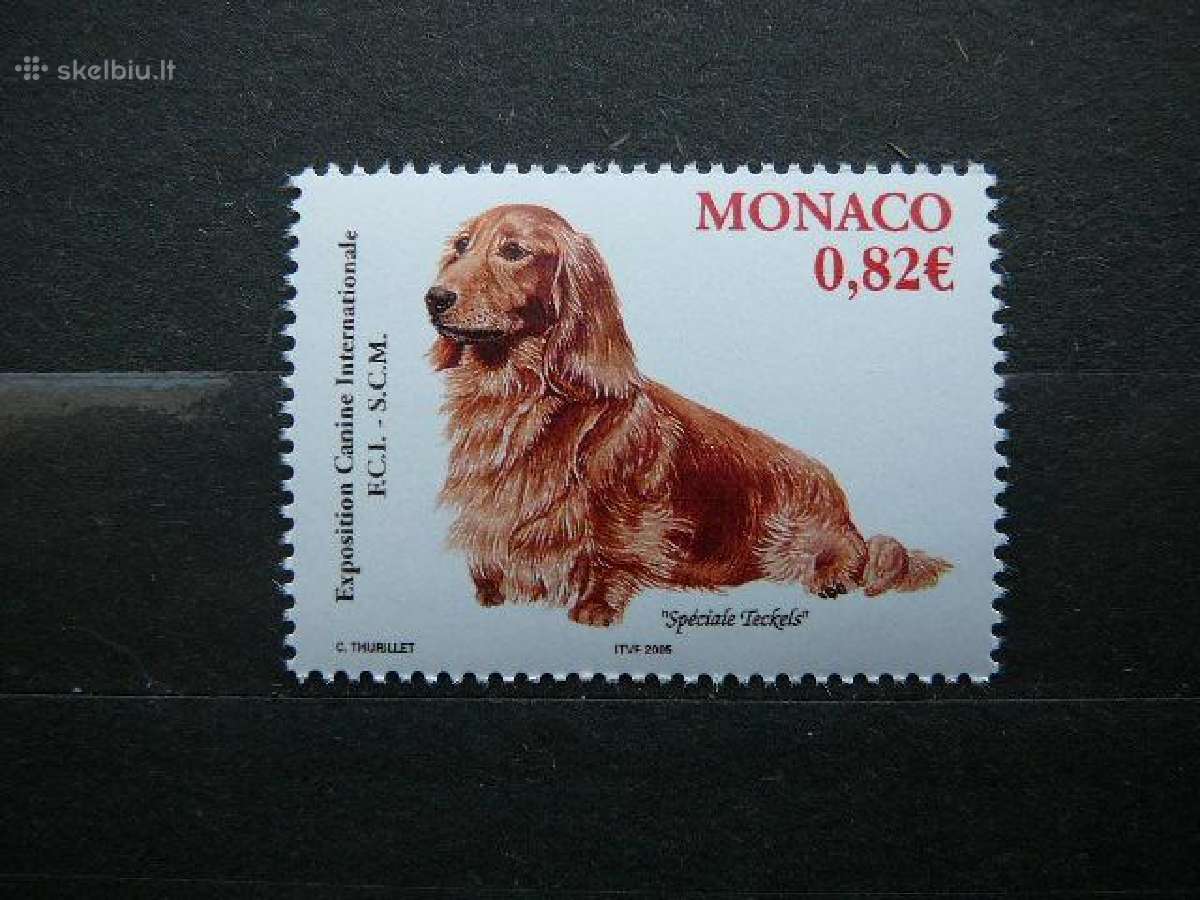 Sunys Monakas 2005 svarus mo988