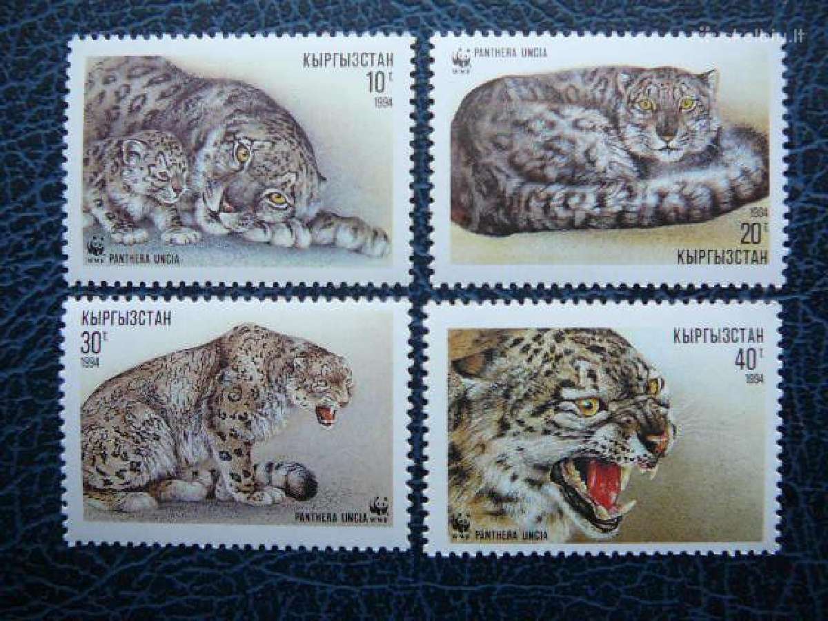 Kates laukines Kyrgyzstan svarus krg556