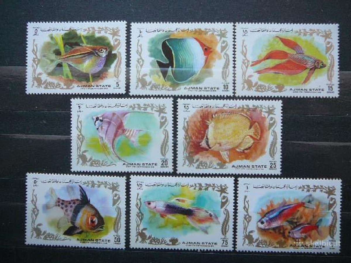 Zuvys Ajmanas 1972 svarus ajm761
