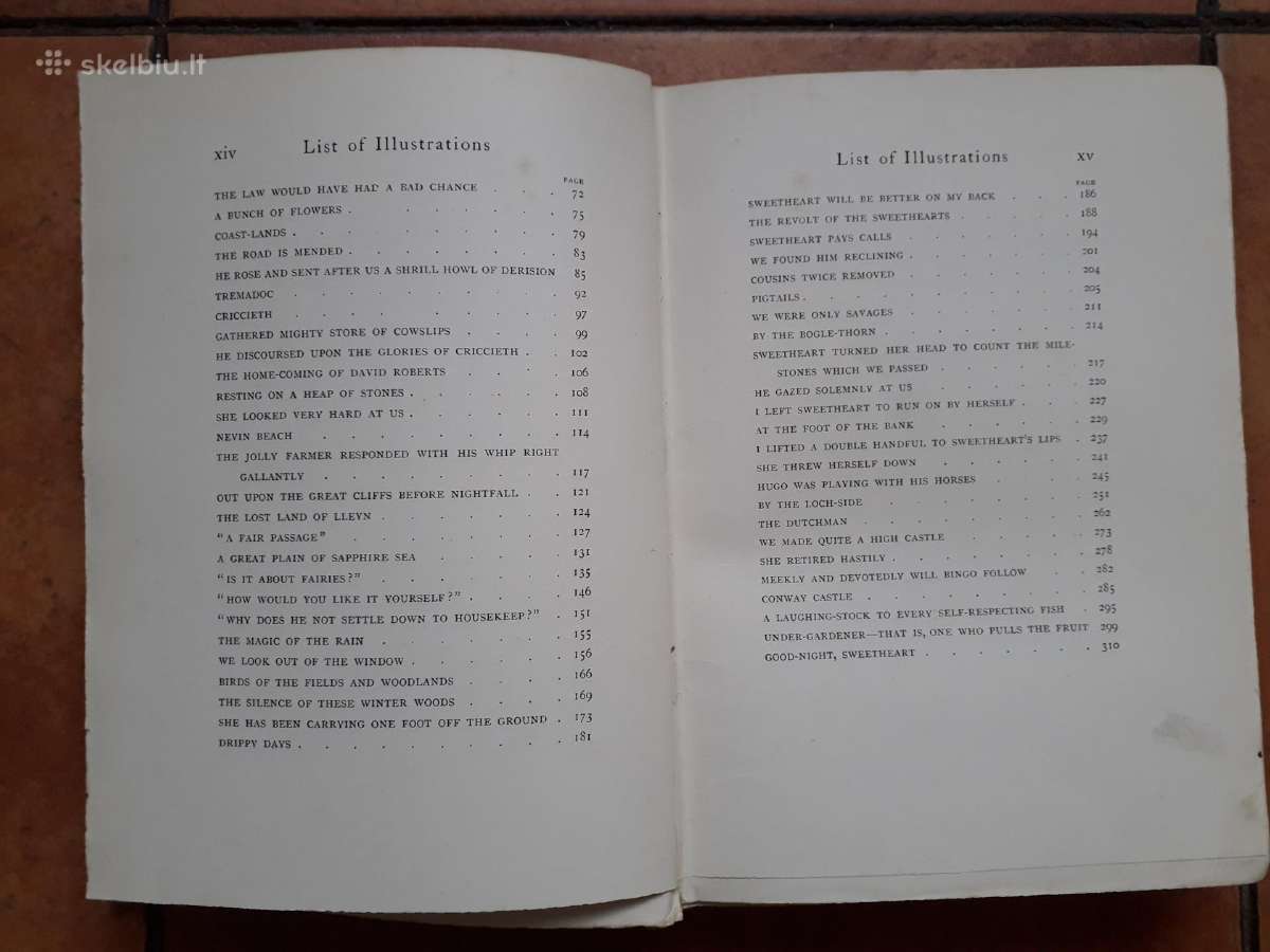 S. R. Crockett "Sweetheart travellers" 1901 metai - nuotraukos Nr. 6