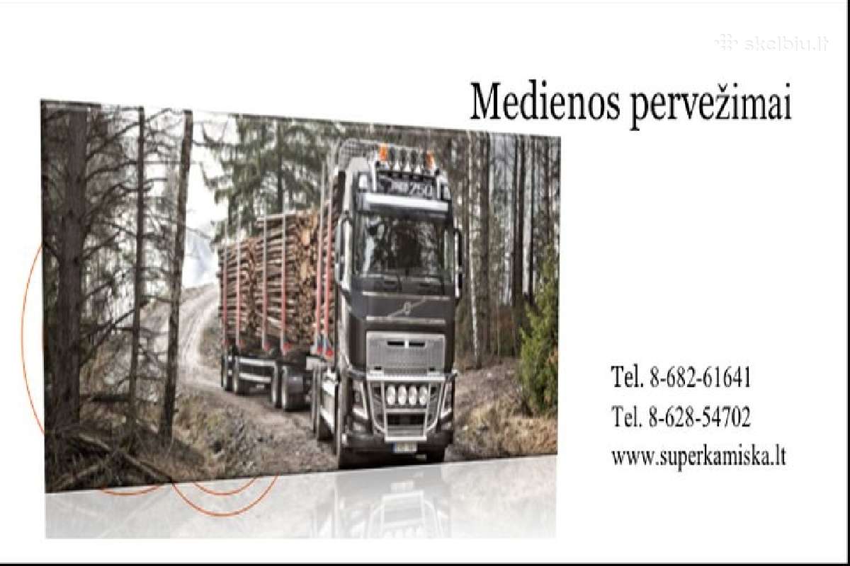 Sutvarkome vėjovartas! Realizuojame medieną. - nuotraukos Nr. 6