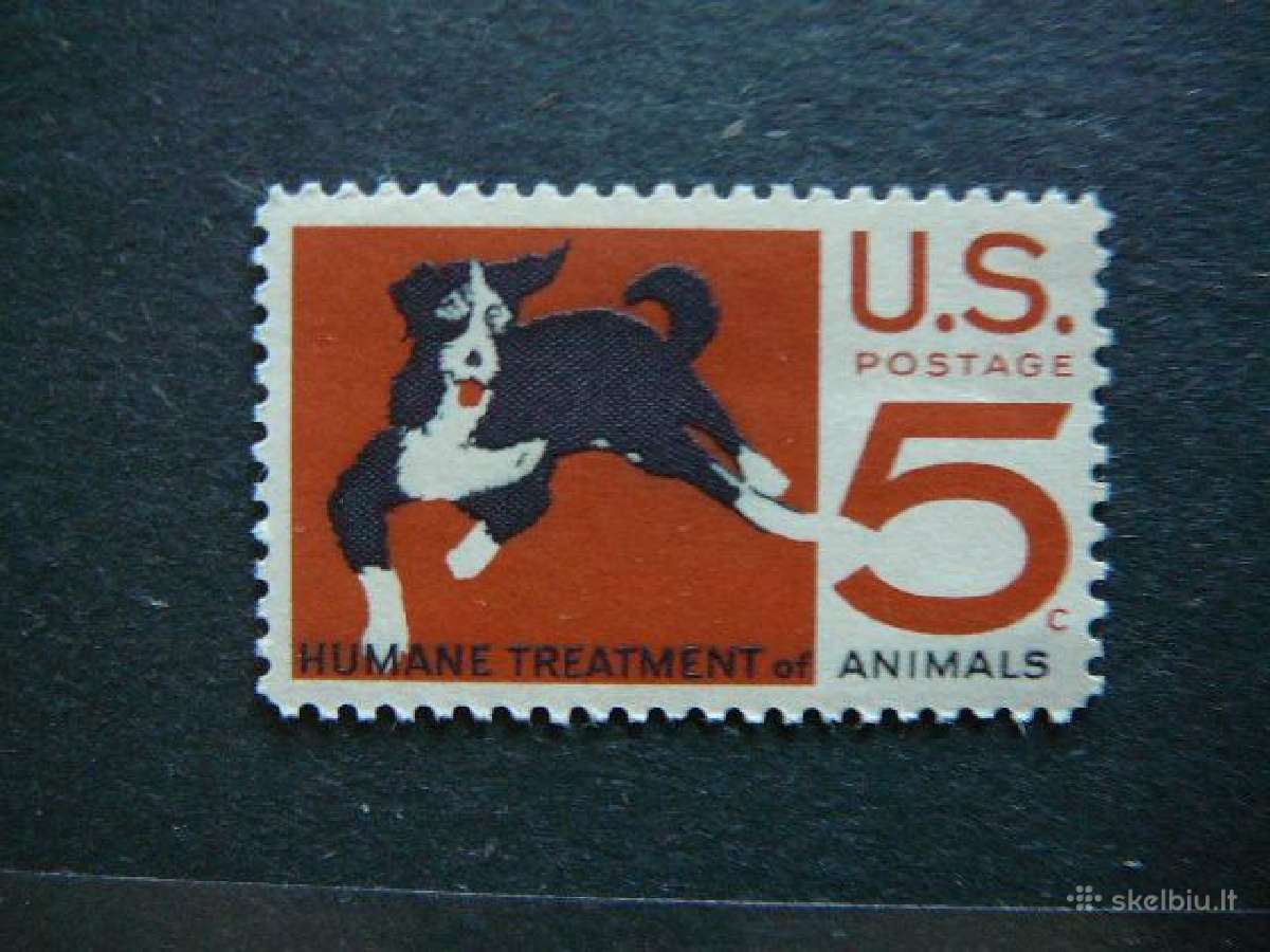 Sunys JAV 1966 svarus jv418