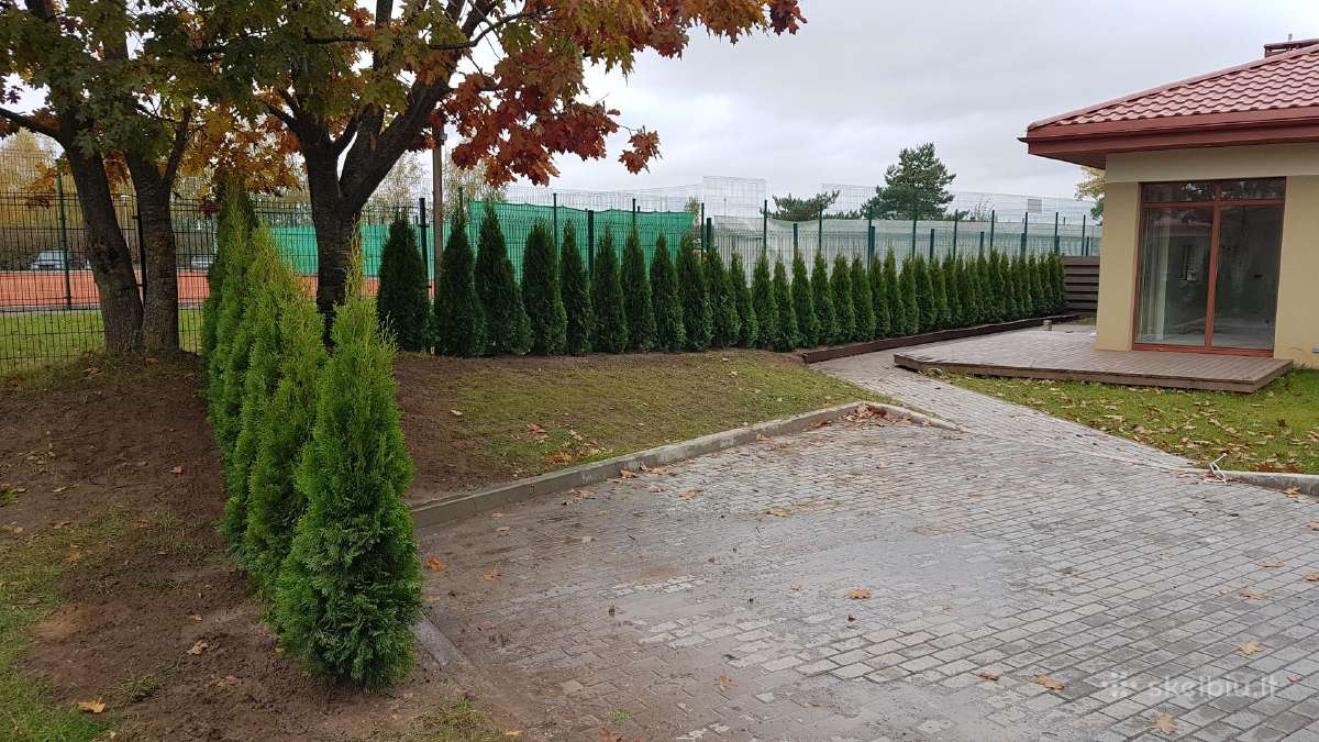 Tūjos Smaragd akščiausios kokybės Premium klasės - nuotraukos Nr. 12