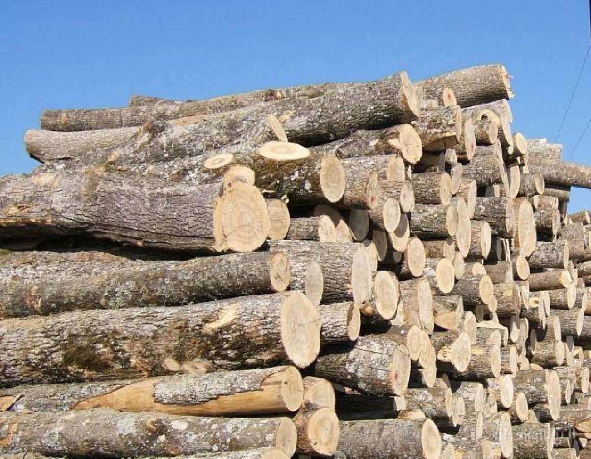 Malkos, yra sausu Rąsteliais, skaldytos, kaladukai - nuotraukos Nr. 2