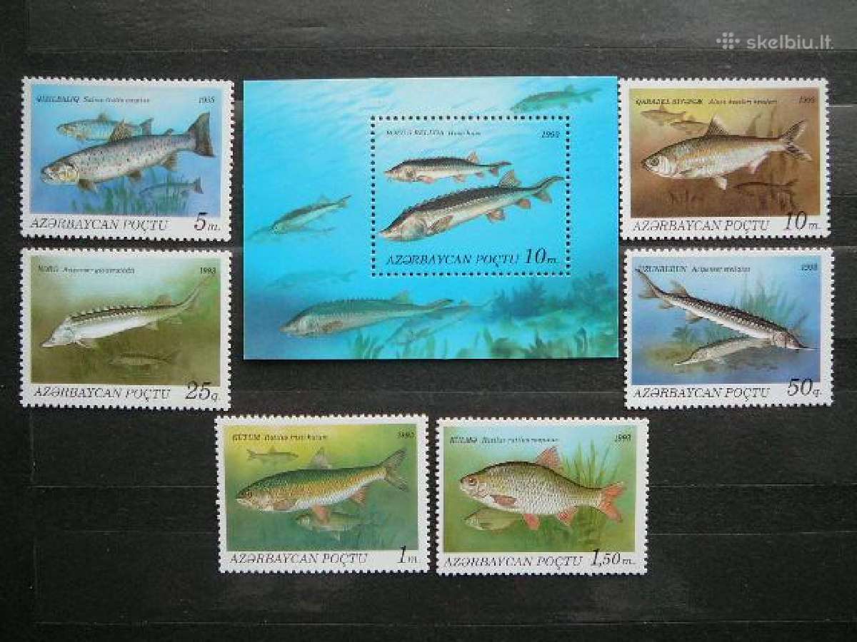 Zuvys Azerbaidzanas 1993 Mnh zz98