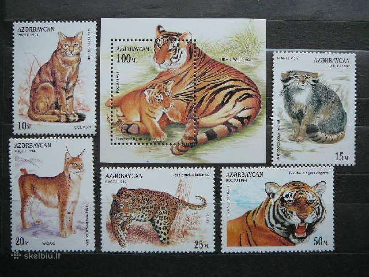 Kates laukines Azerbaidzanas 1994 Mnh zz178