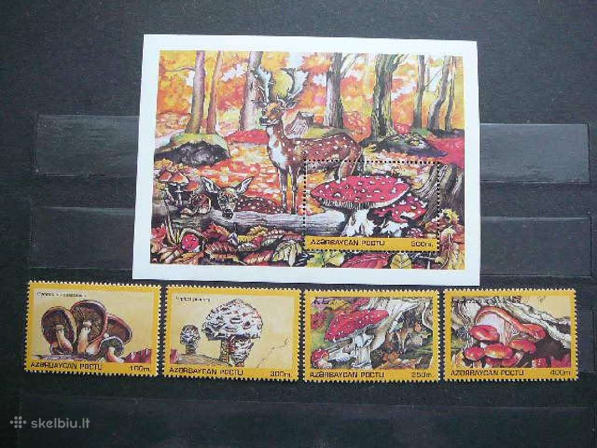 Grybai Azerbaidzanas 1995 Mnh zz244