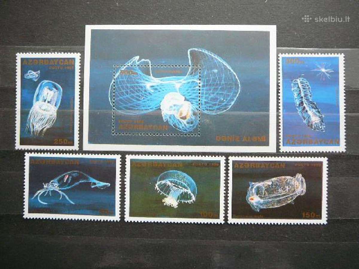 Juros fauna Meduzos Azerbaidzanas 1995 zz217