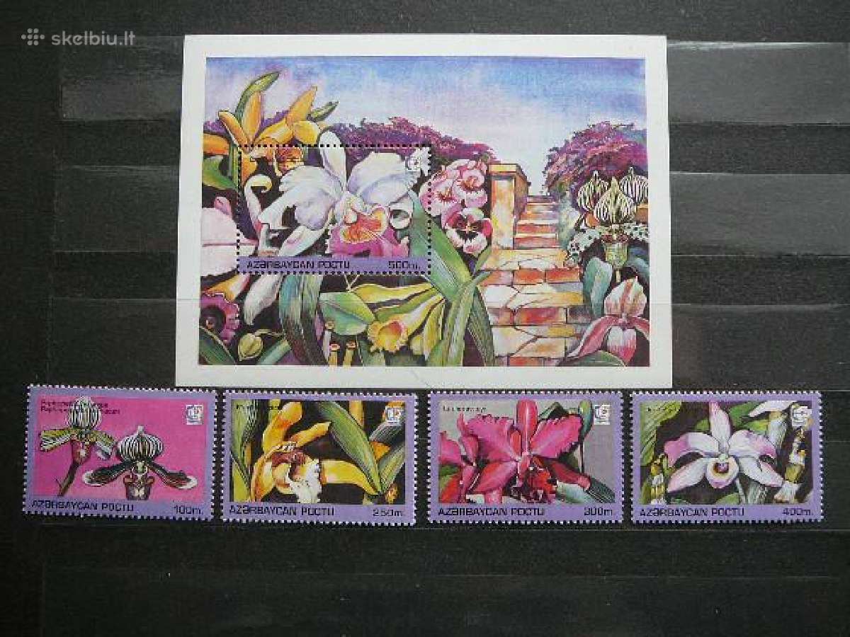 Orchidejos Geles Azerbaidzanas 1995 Mnh zz249
