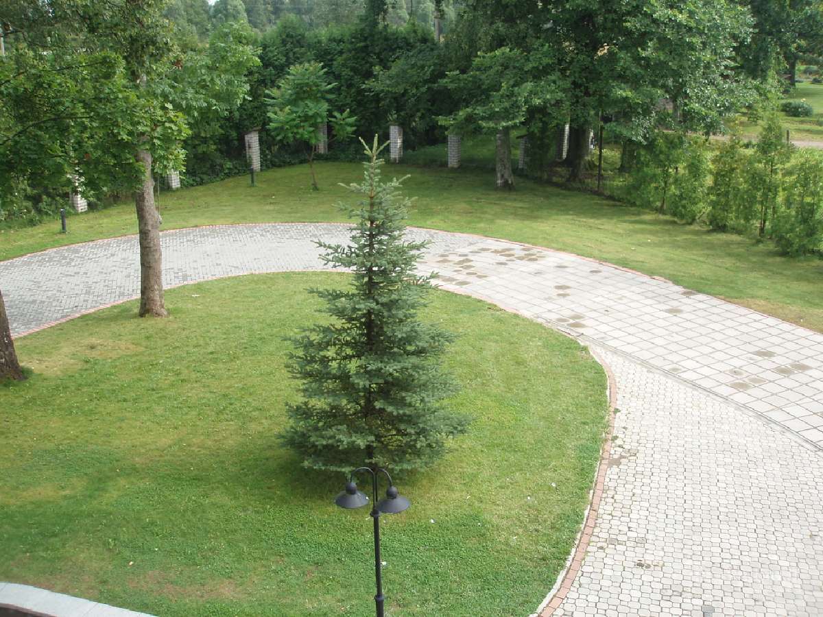 Kambariu nuoma, darbuotoju apgyvendinimas - nuotraukos Nr. 11