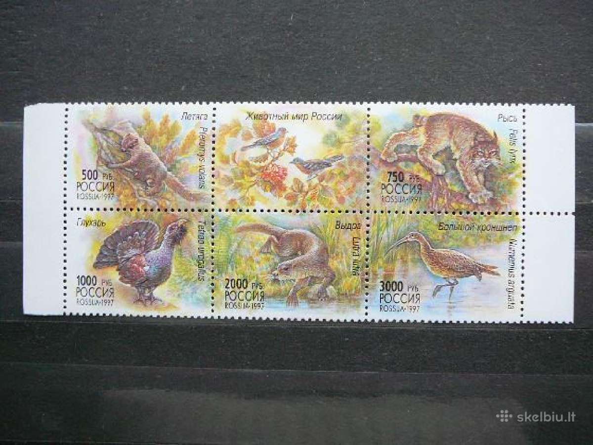 Rusija 1997 Zverys Pauksciai svarus s597z