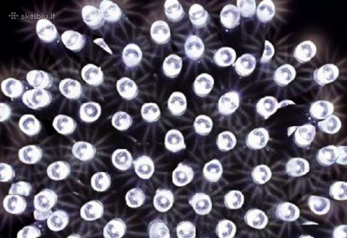 LED dekoraciju išpardavimas! - nuotraukos Nr. 5