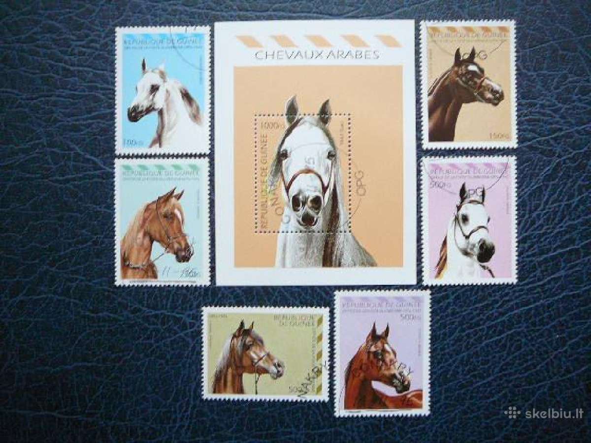 Arkliai Gvineja 1995 antsp. gvn452