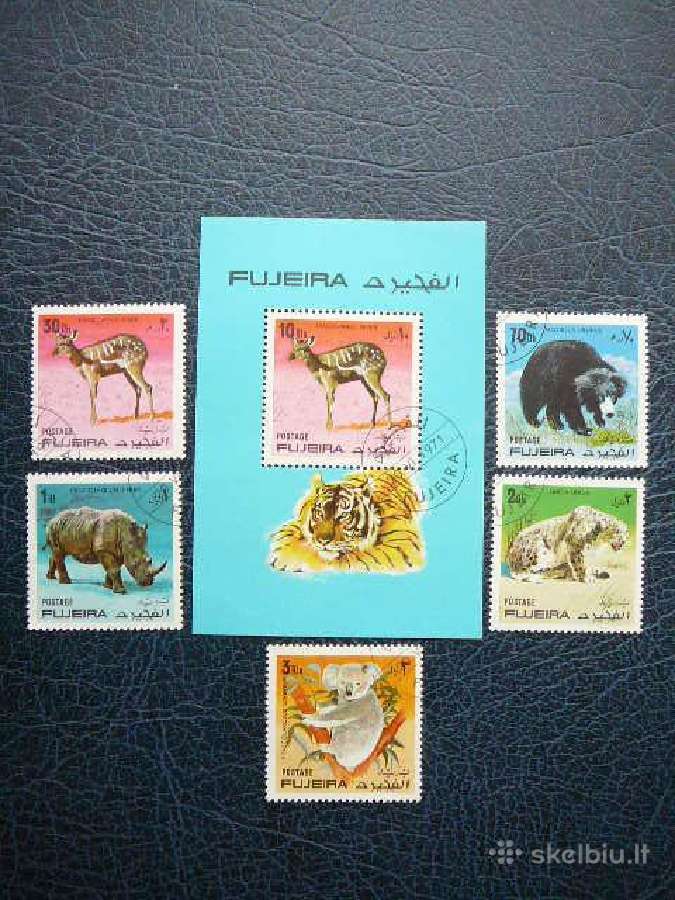 Zverys Fudzeira 1971 antsp. fdz411