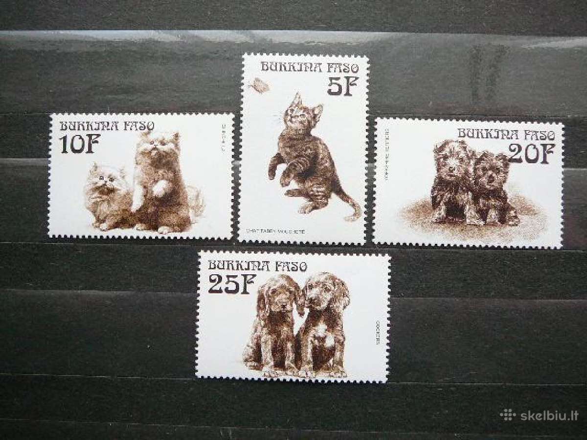 Kates Burkina Faso svarus ctg411