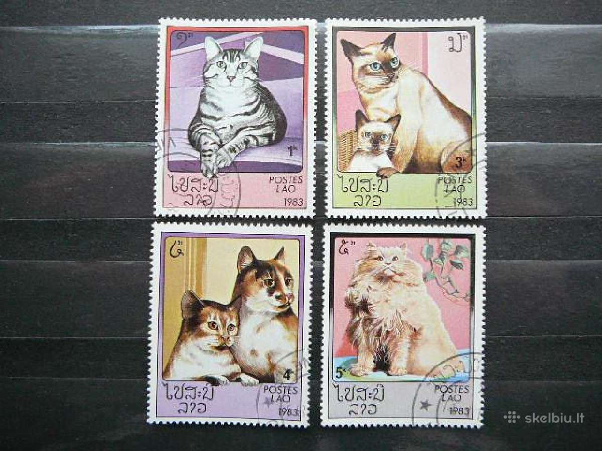 Kates Laosas antsp. alb106