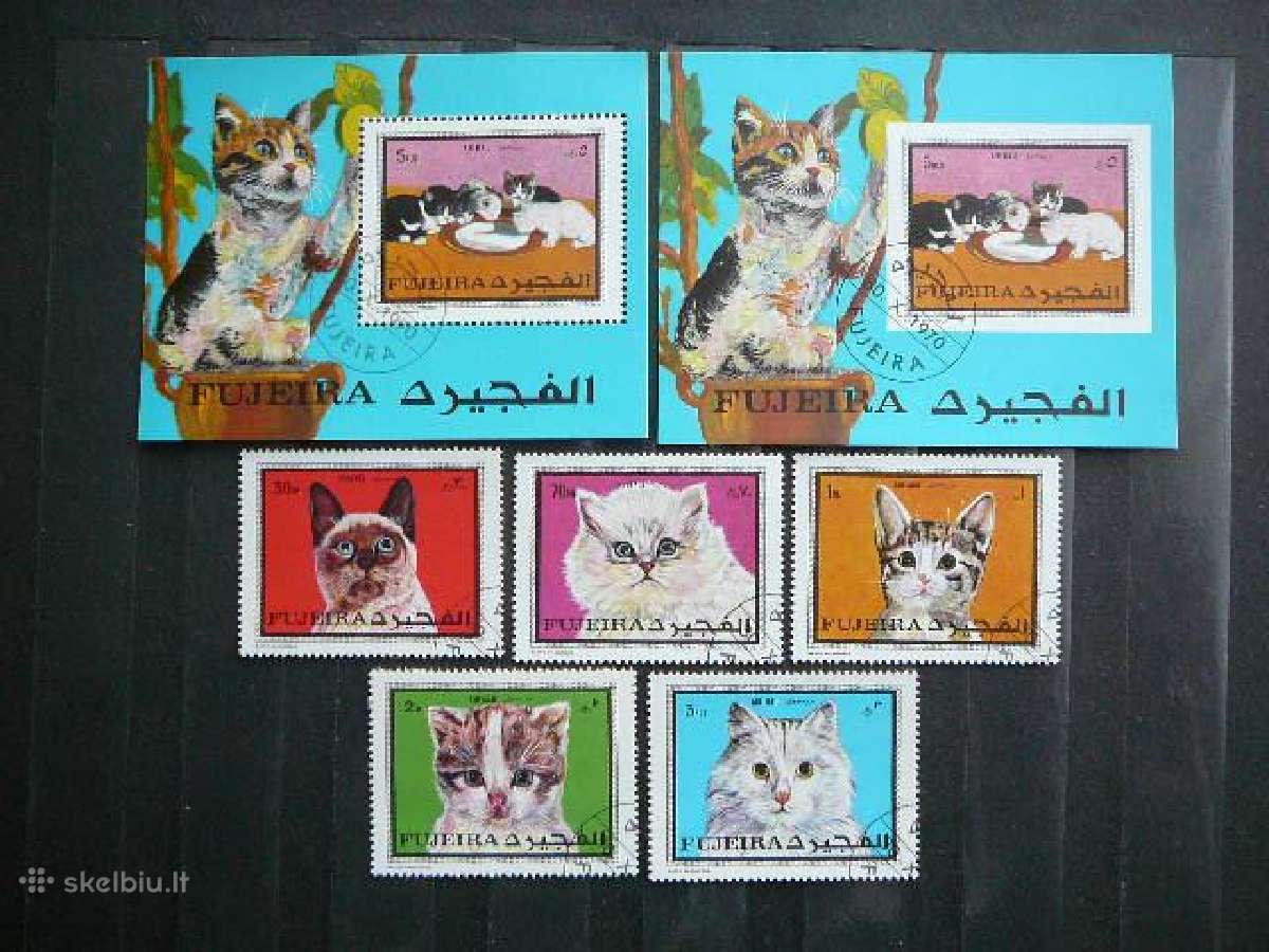 Kates Fudzeira antsp. ctg425