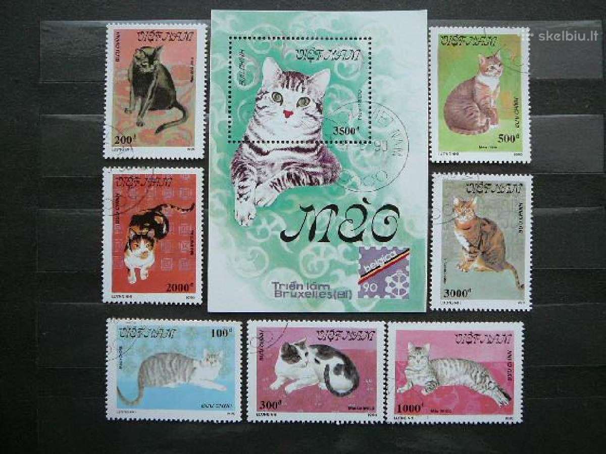 Kates Vietnamas antsp. ctg427