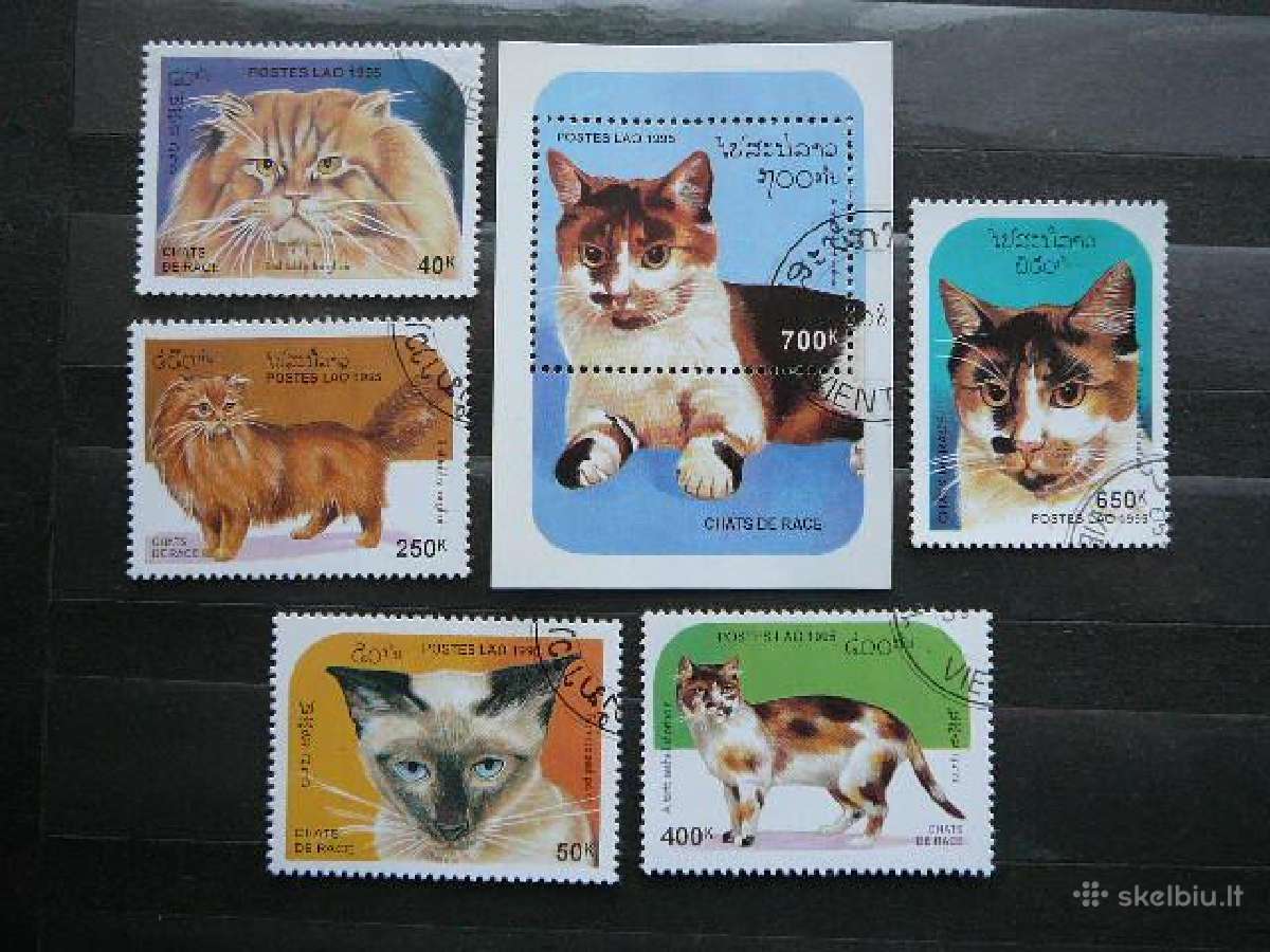 Kates Laosas antsp. ctg431