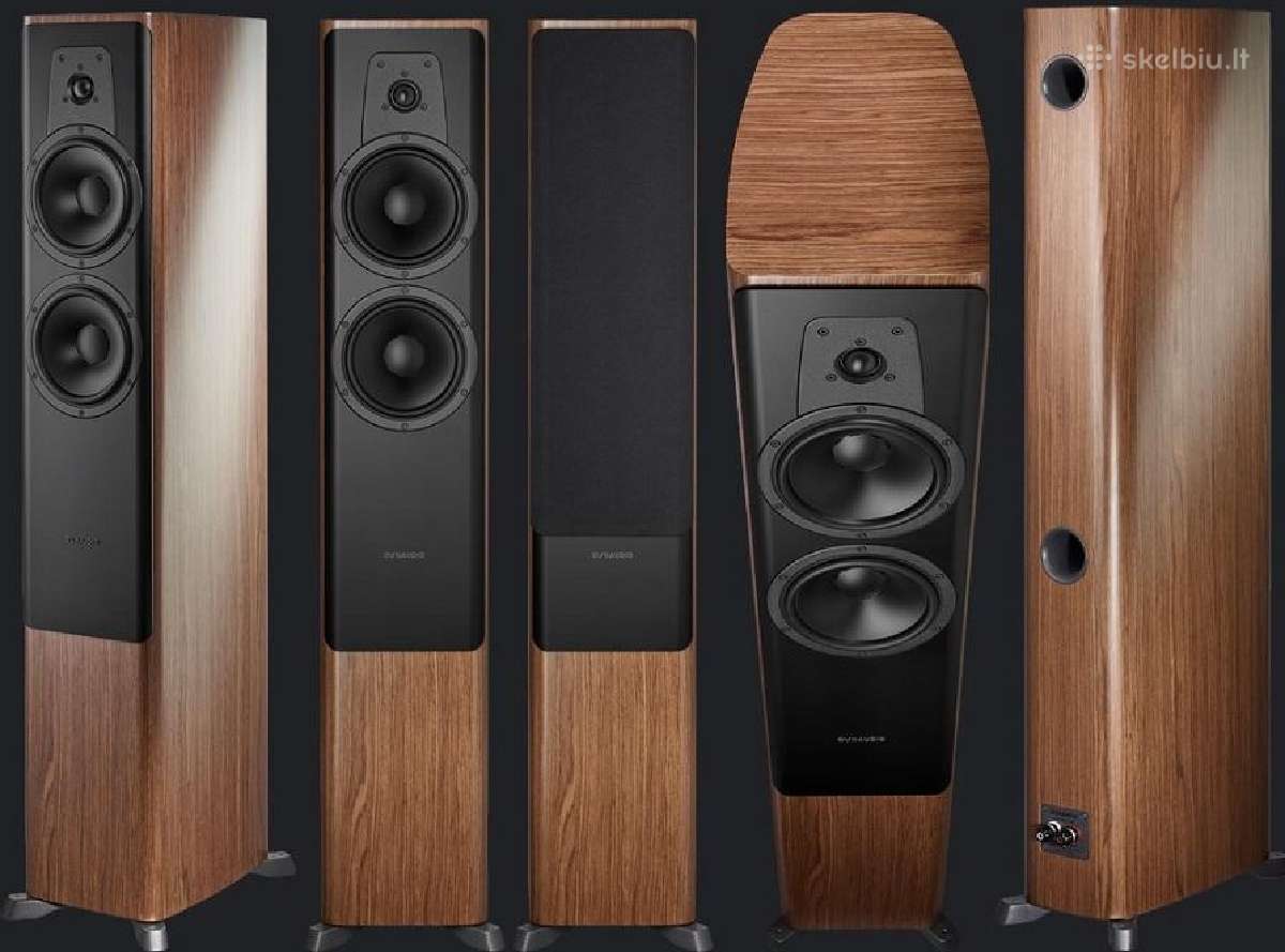 Dynaudio Evoke 50 blonde wood koloneles - nuotraukos Nr. 10