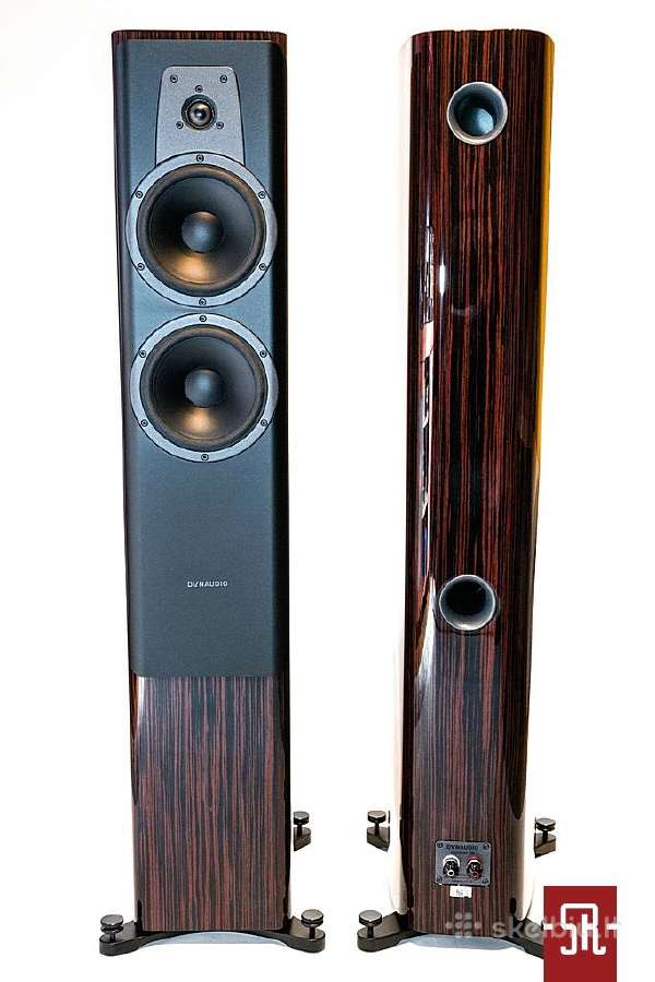 Dynaudio Evoke 50 blonde wood koloneles - nuotraukos Nr. 11