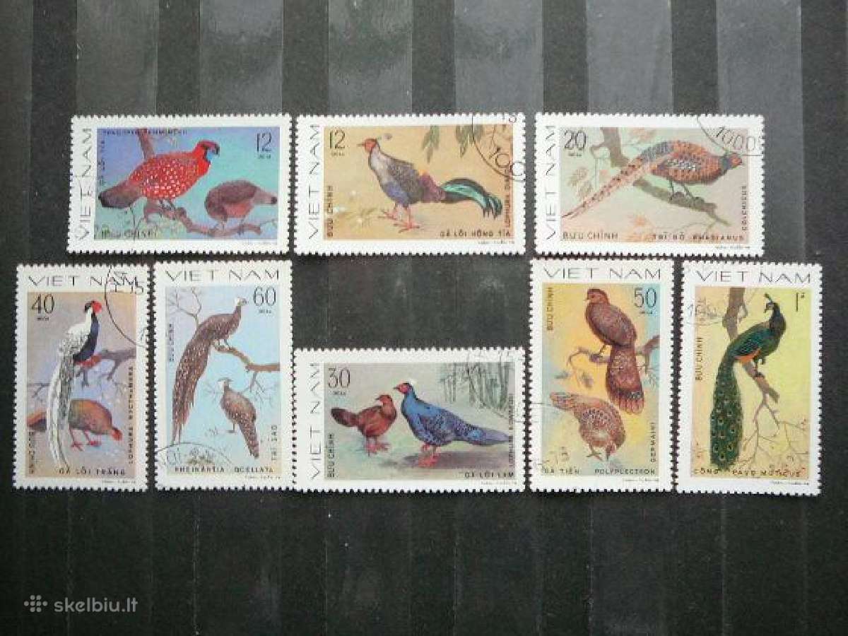 Pauksciai Vietnamas antsp. alb246