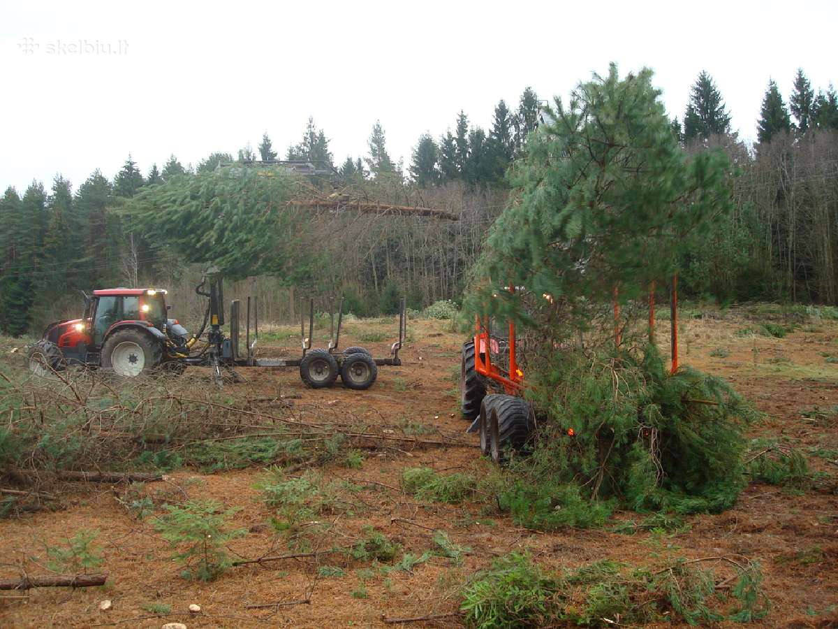 Apleistu sklypu tvarkymas, nemok. kertame krūmus - nuotraukos Nr. 3