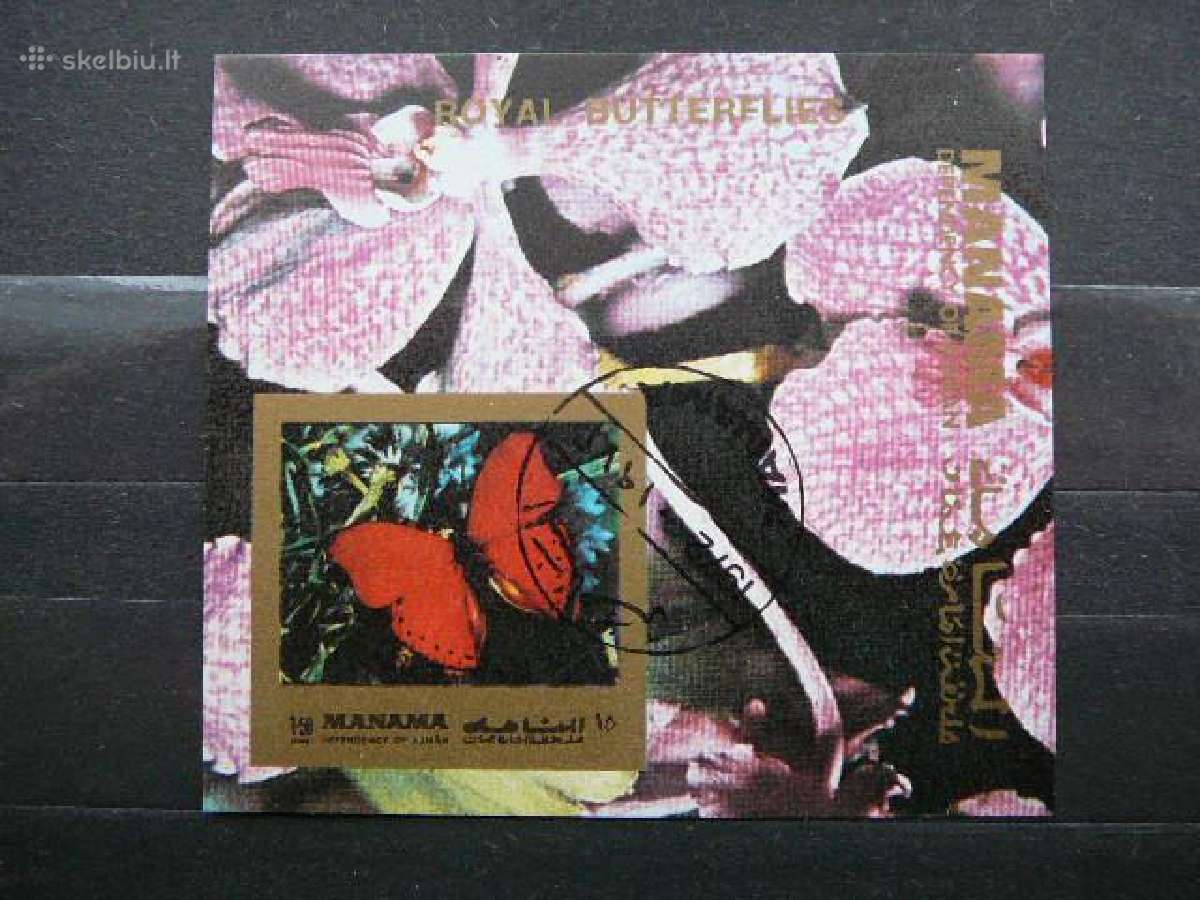 Drugeliai Orchidejos Manama antsp. blk733