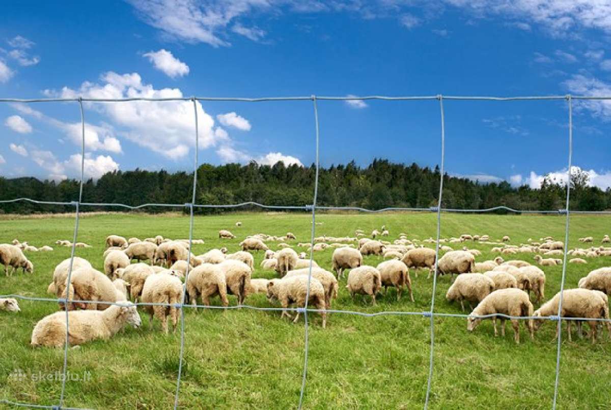 Avių , galvijų ,danielų ganyklų , miško aptvėrimai