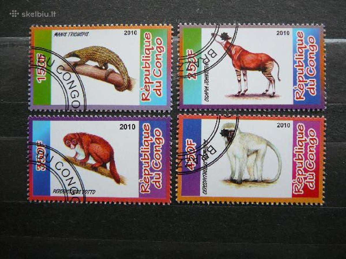 Gyvunai Bezdziones Kongas 2010 antsp. s601g-