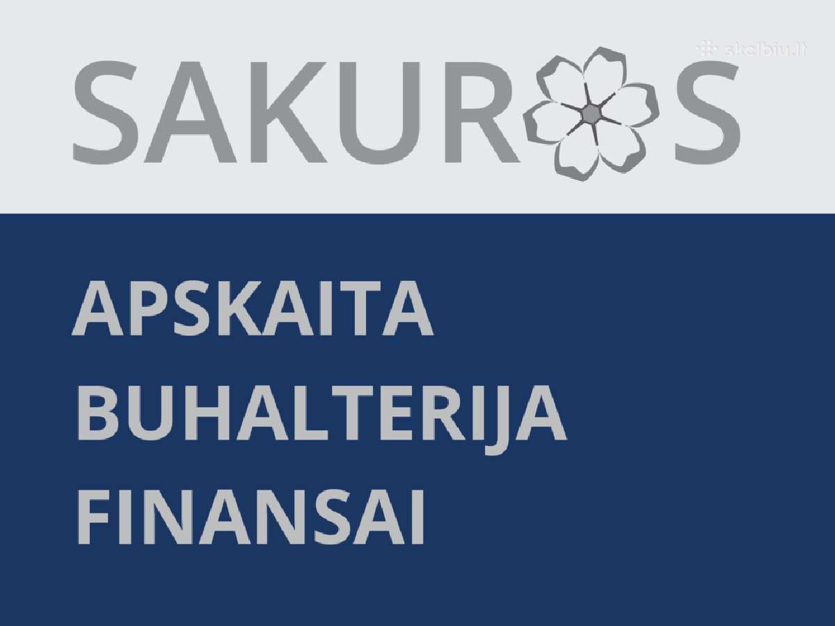 Verslas - Jūsų, o apskaita - mūsų (+370-672-33055) - nuotraukos Nr. 3