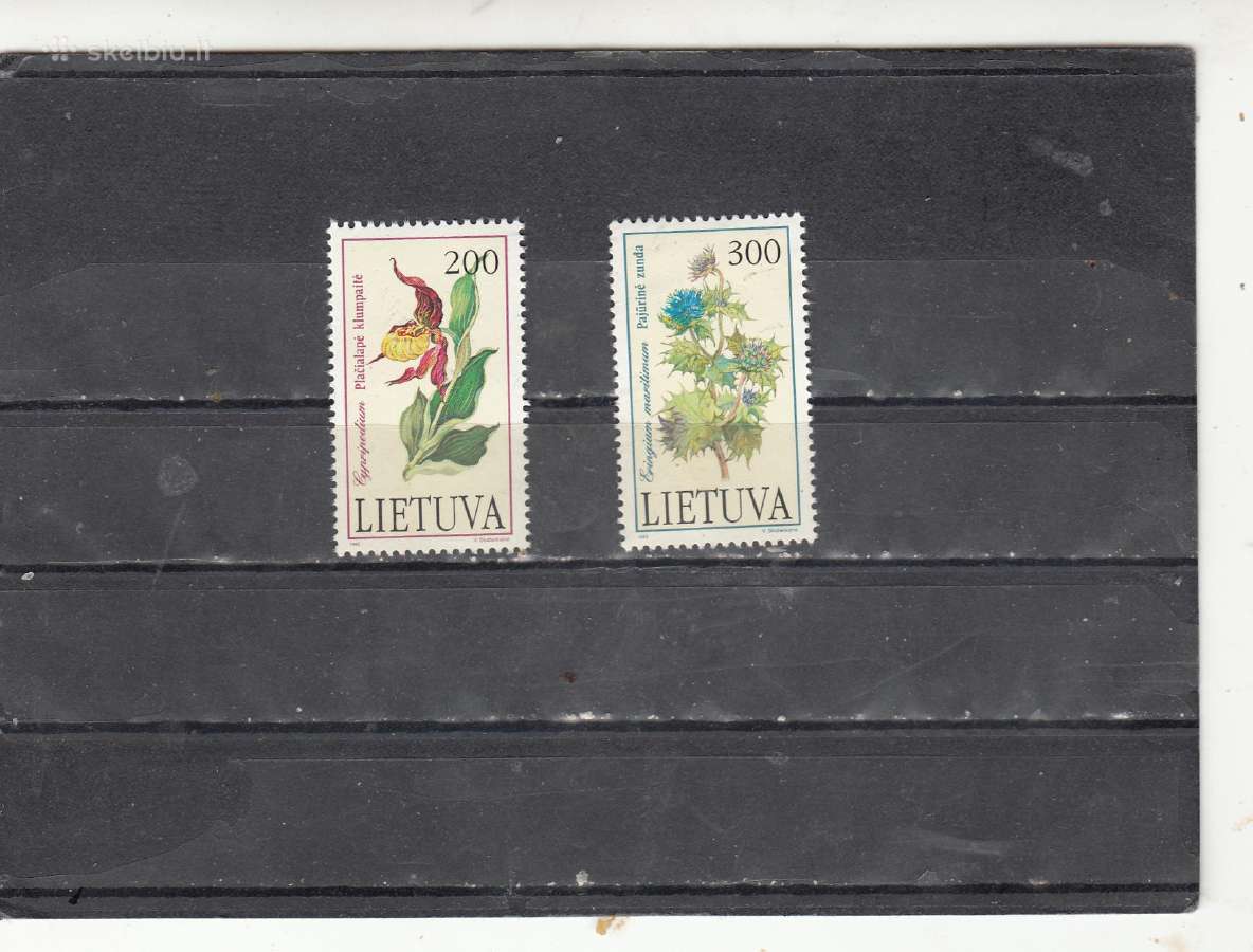 Lietuva 1992m.
