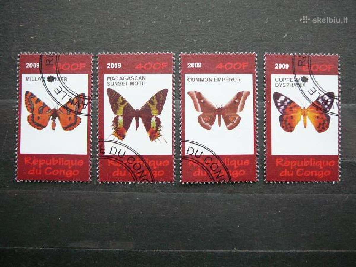 Drugeliai Kongas 2009 antsp. s502d