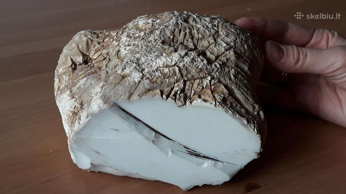 Kacholongas/baltasis opalas didelis virš 2 kg - nuotraukos Nr. 2
