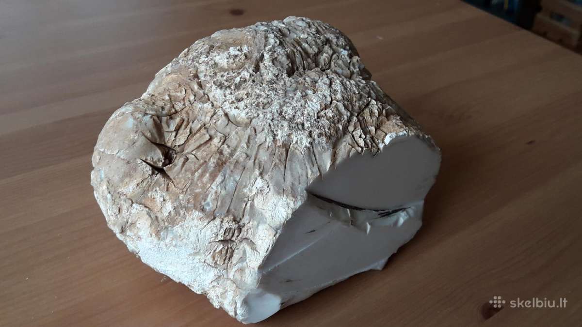Kacholongas/baltasis opalas didelis virš 2 kg - nuotraukos Nr. 5