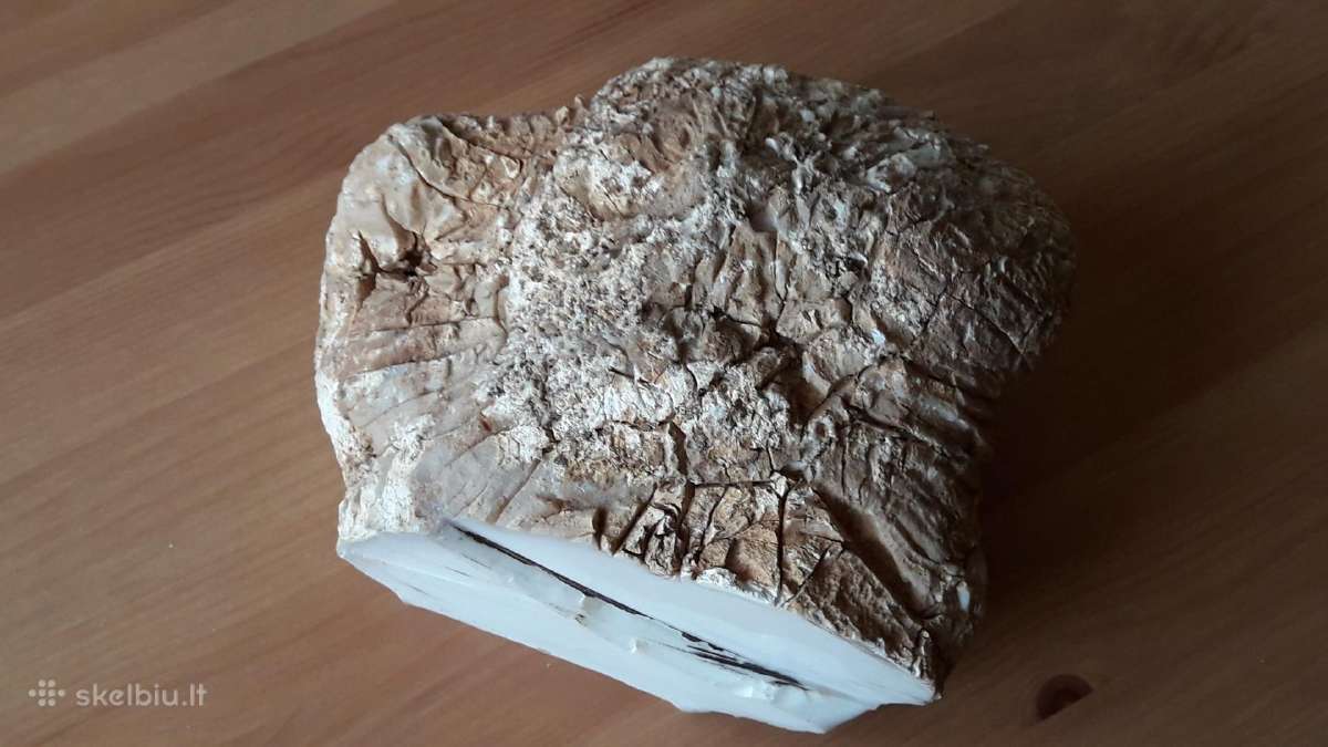 Kacholongas/baltasis opalas didelis virš 2 kg - nuotraukos Nr. 7